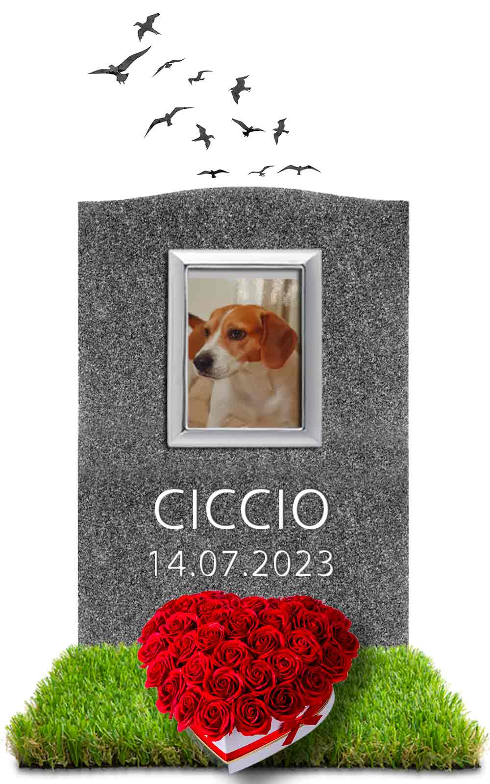CICCIO 14.07.2023