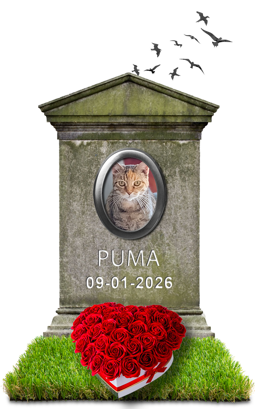 PUMA 09-01-2026