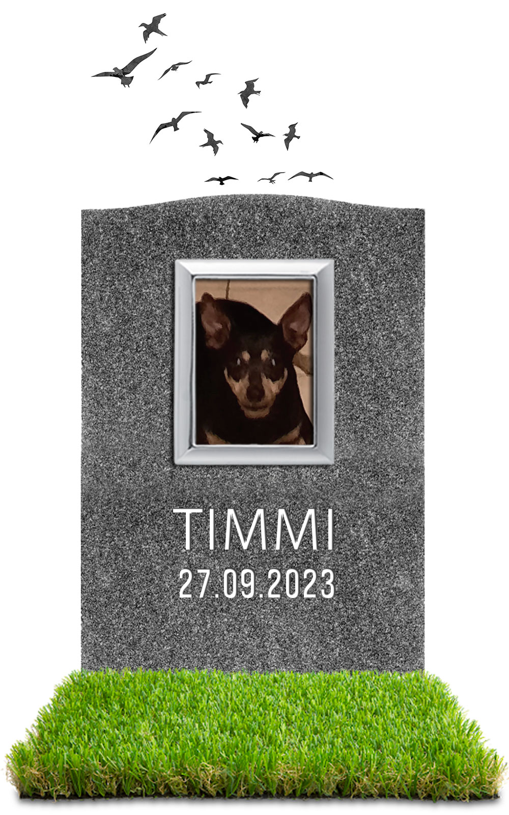 Timmi 27.09.2023